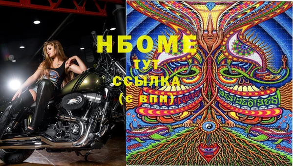 прущая мука Гусев