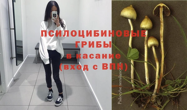 прущая мука Гусев