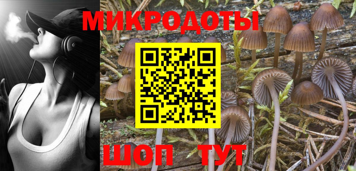 Псилоцибиновые грибы Magic Shrooms Нерюнгри