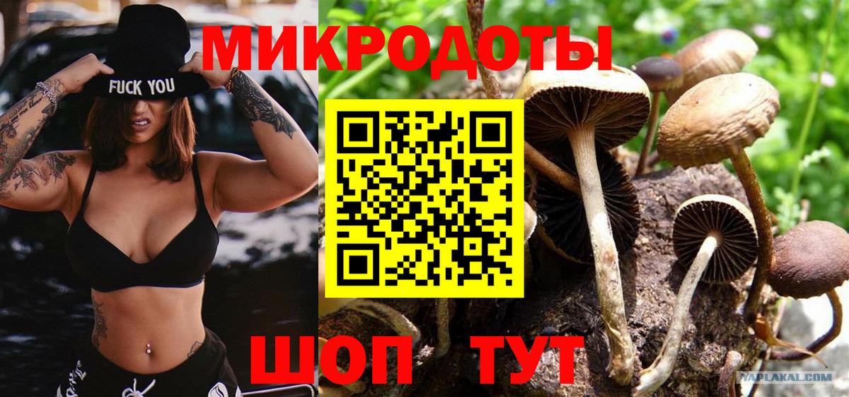 даркнет сайт  Нерюнгри  Галлюциногенные грибы Psilocybine cubensis 