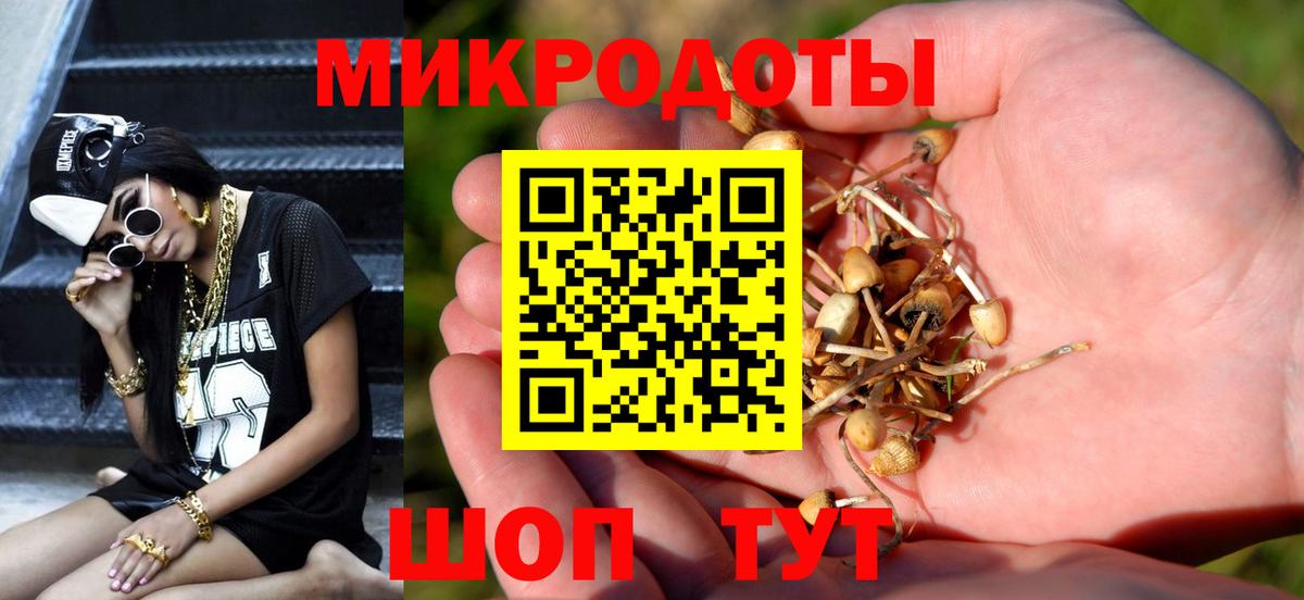 Галлюциногенные грибы мухоморы Нерюнгри