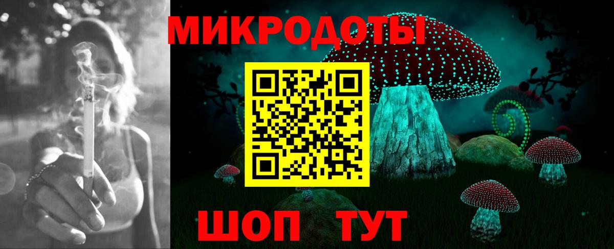 Нерюнгри  купить наркоту  Вход с VPN  Псилоцибиновые грибы MAGIC MUSHROOMS 